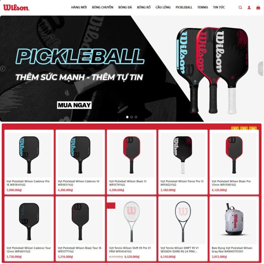 Theme wordpress bán vợt, phụ kiện pickeball - Ảnh 2