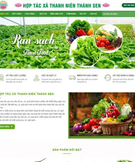 Theme wordpress thực phẩm sạch 08
